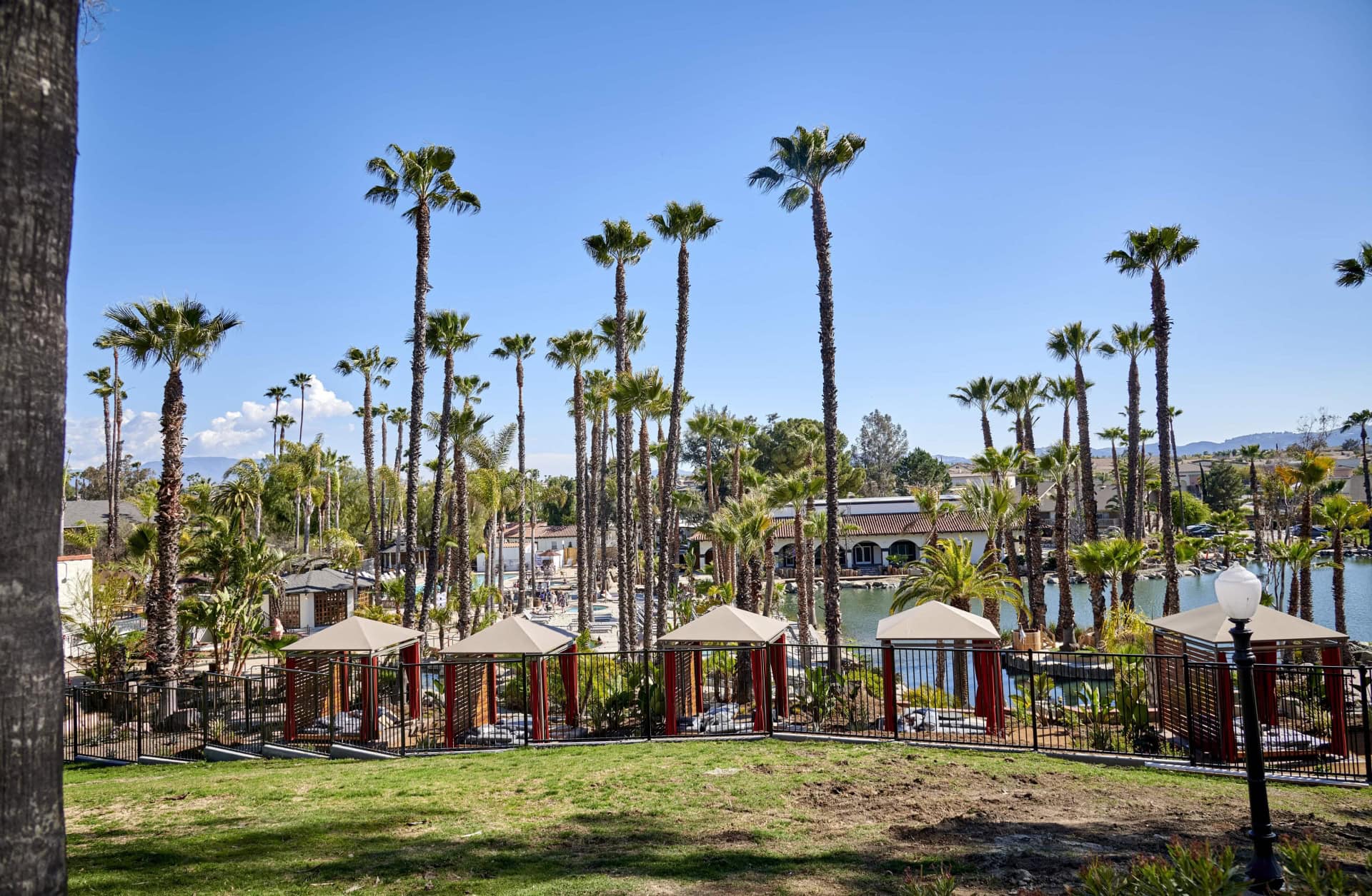 Beautiful view of palm trees and cabanas at Murrieta Hot Springs Resort, California.