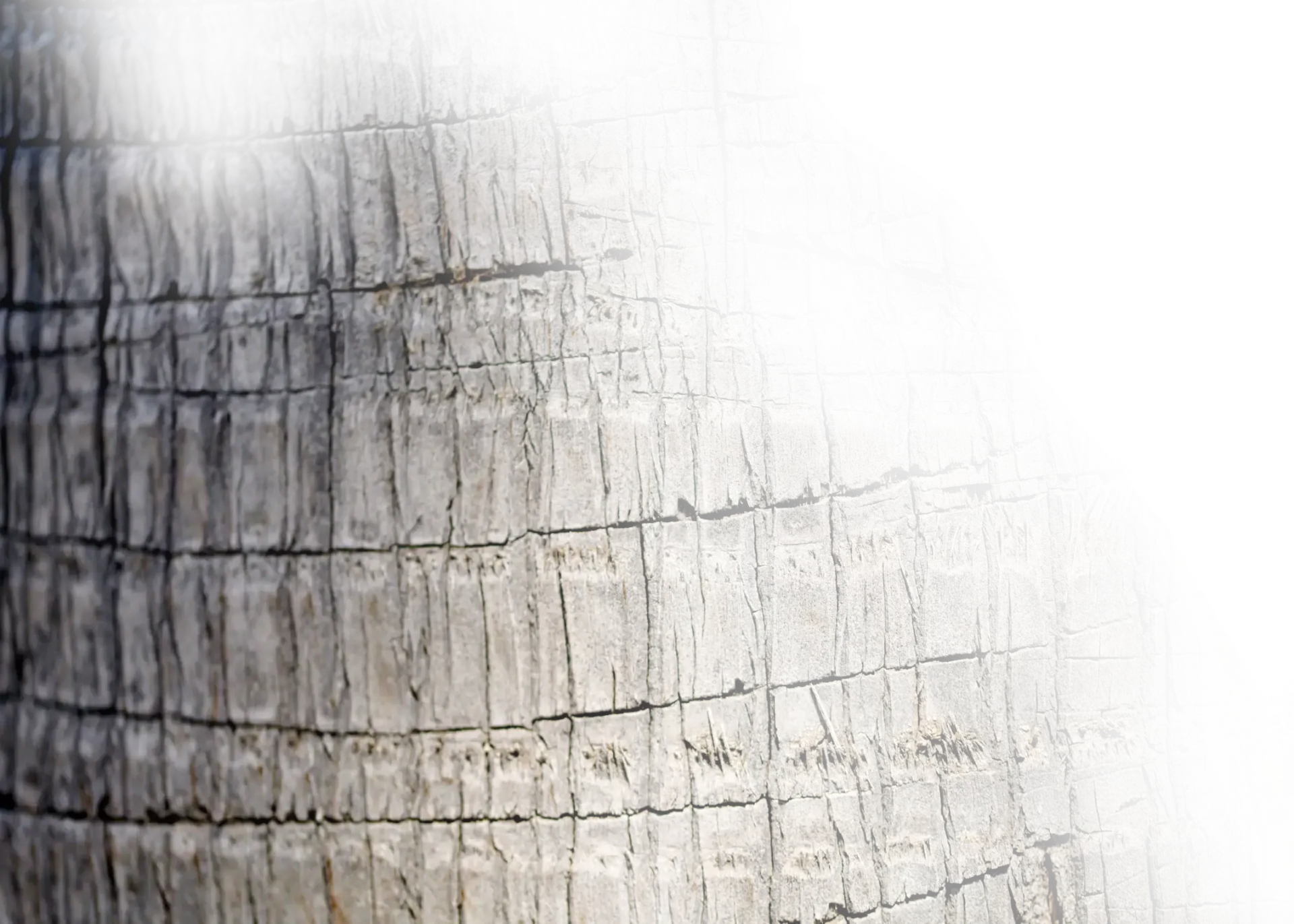 Bark fade for background